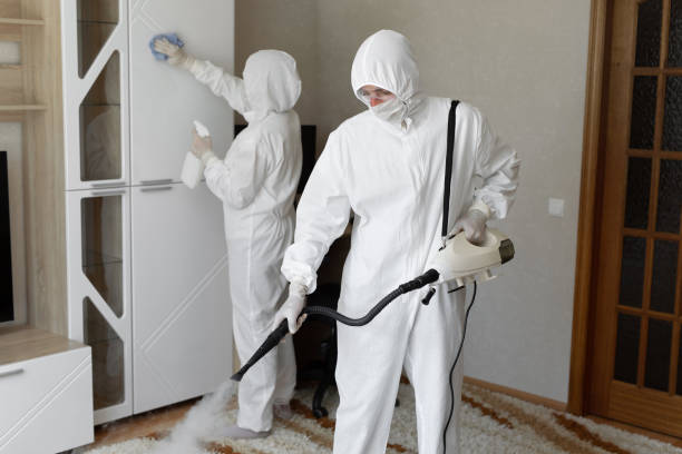 Best Attic Mold Removal  in Point Lookout, NY