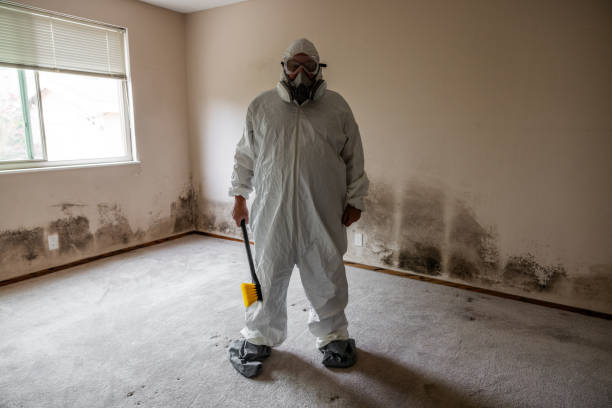 Best Professional Mold Removal  in Point Lookout, NY